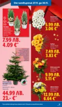 ЛИДЛ Чудесата си заслужават с ЛИДЛ предложения с валидност до 30.11.2025 - от 24-11-25