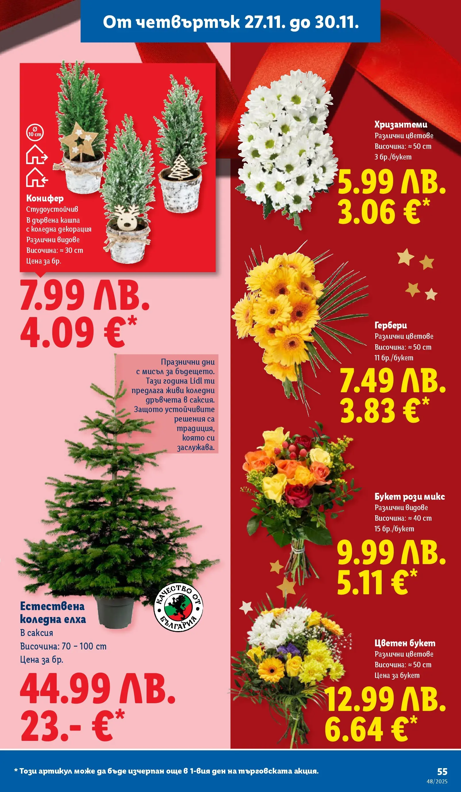 Лидл - Чудесата си заслужават с ЛИДЛ предложения с валидност до 30.11.2025 от 23.11.2025 | Страница: 55