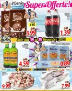 Il Genio Solo Dal 19 al 25 novembre 2025 - al 25.11.2025