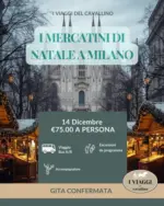 I viaggi del cavallino I mercatini di natale e milano - al 14.12.2025