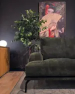 Semeraro Semeraro - al 19.11.2025