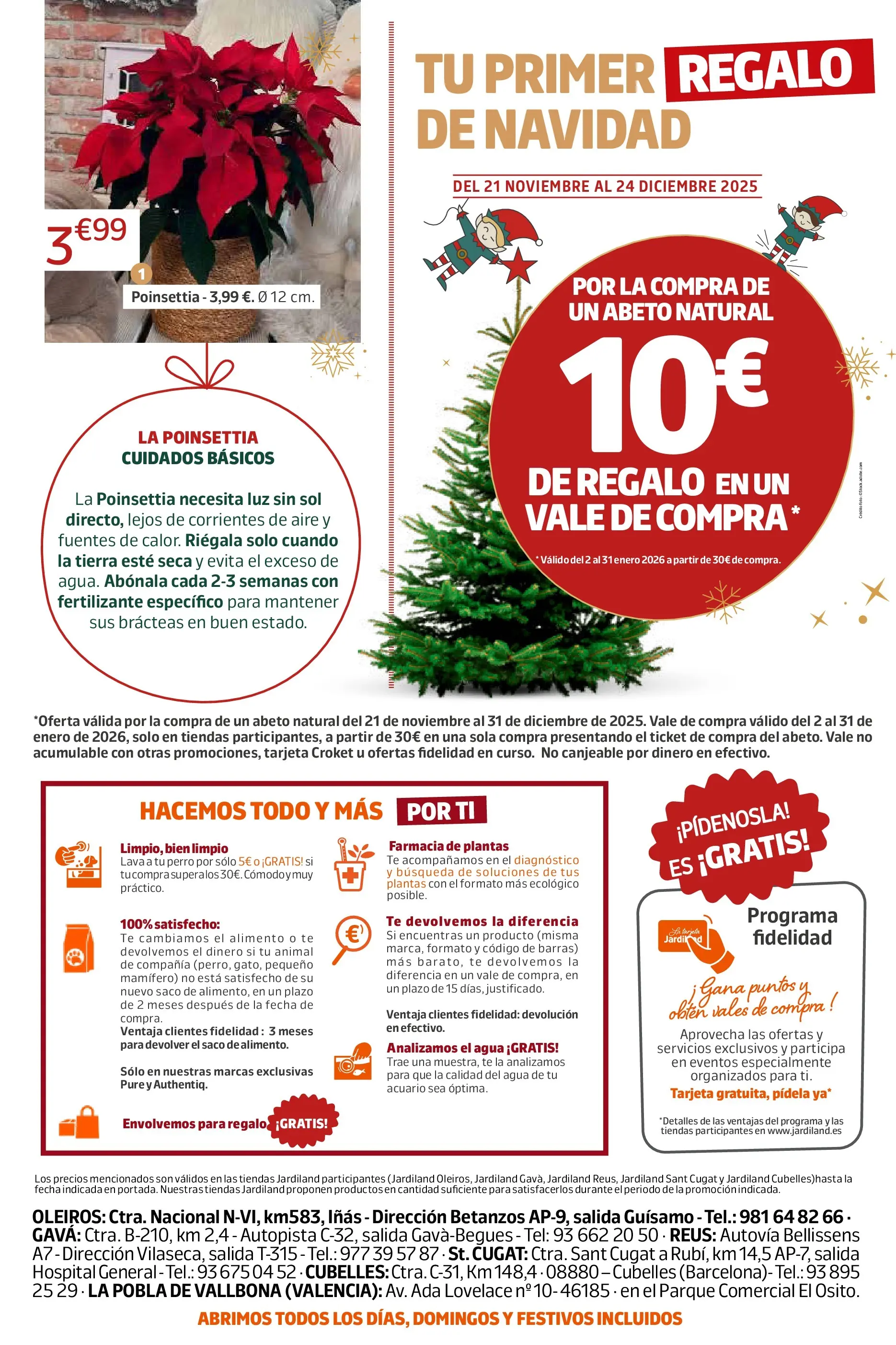 Jardiland - DEJA QUE LA MAGIA TE ENVUELVA, ¡ ES NAVIDAD ! 19/11/2025 - 24/12/2025 | Página: 12 | Productos: General, Té