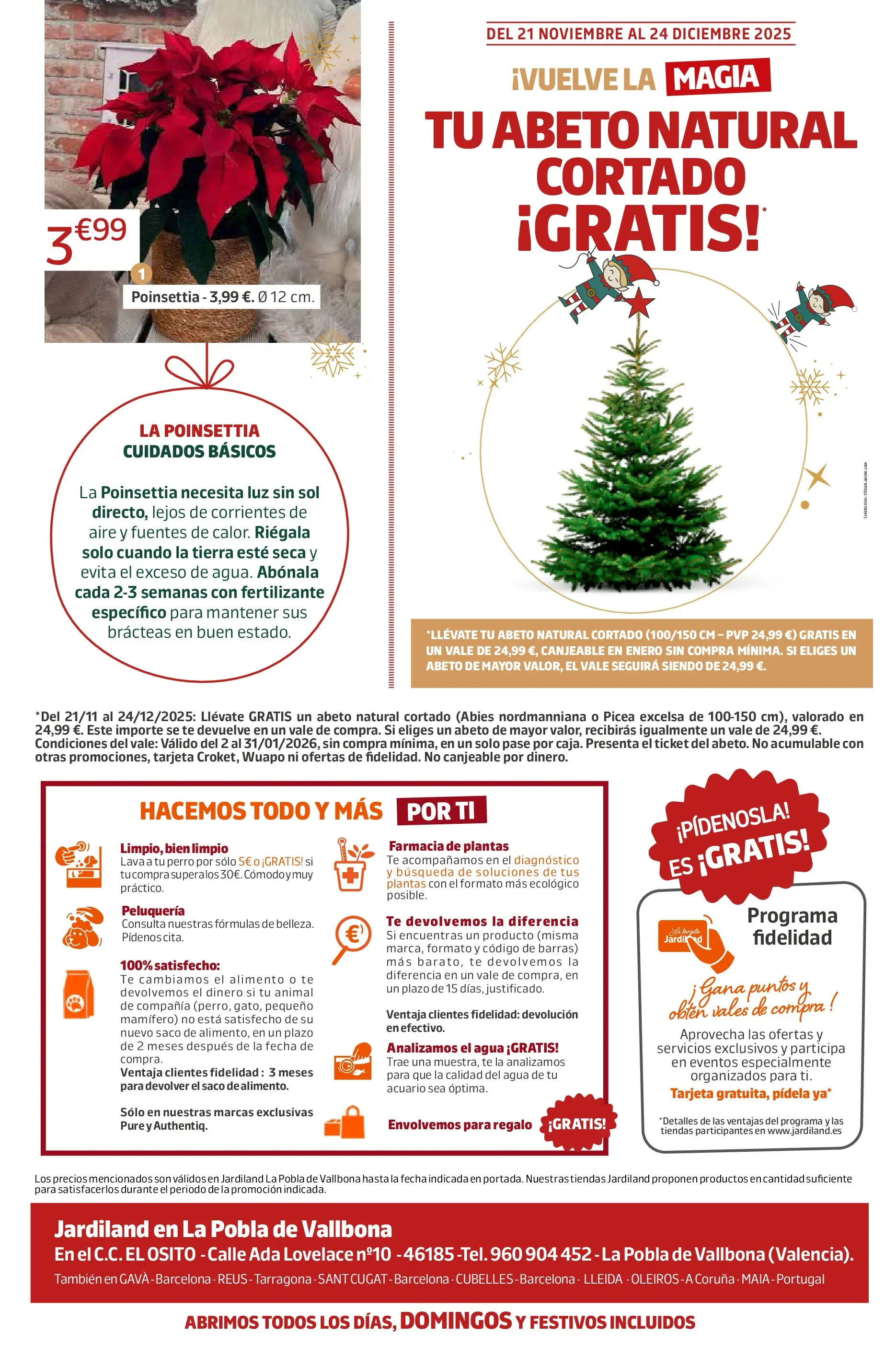 Jardiland - DEJA QUE LA MAGIA TE ENVUELVA, ¡ ES NAVIDAD ! 19/11/2025 - 24/12/2025 | Página: 12 | Productos: Té
