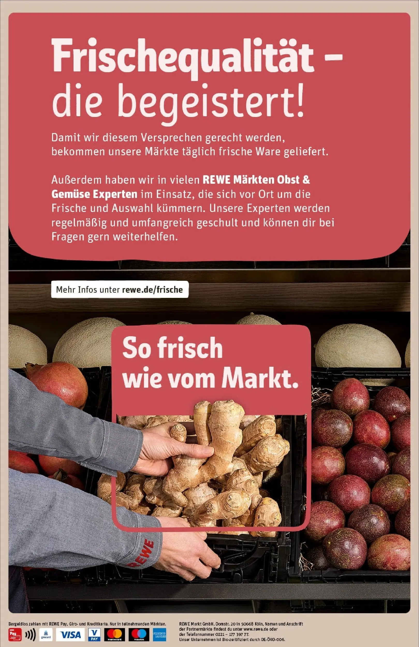REWE Prospekt ab 23.11.2025 zum Blättern » Angebote | Seite: 26