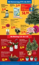 Lidl Lidl: Flugblatt in deiner Nähe - bis 03.12.2025
