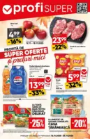 Catalog Profi până în data de 25.11.2025