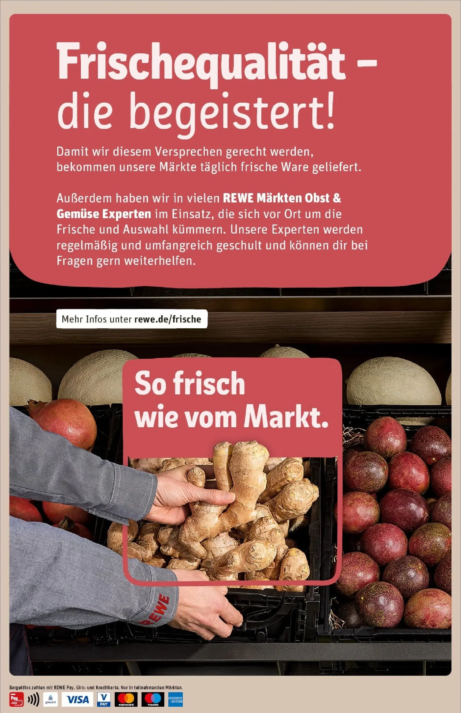 REWE Prospekt ab 23.11.2025 zum Blättern » Angebote | Seite: 33 | Produkte: Gemüse, Obst