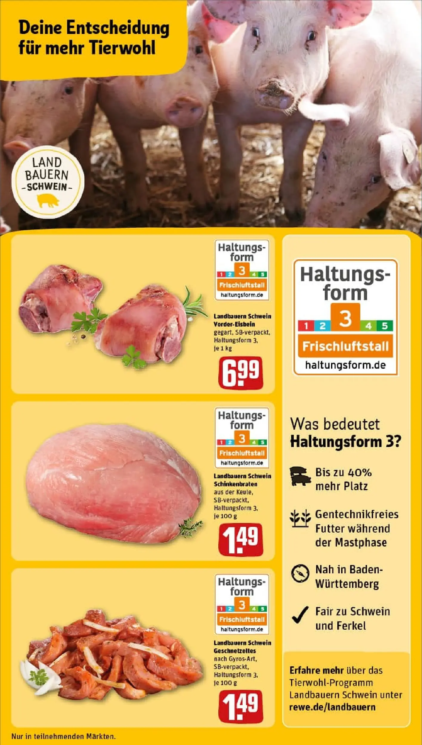 REWE Prospekt ab 23.11.2025 zum Blättern » Angebote | Seite: 13