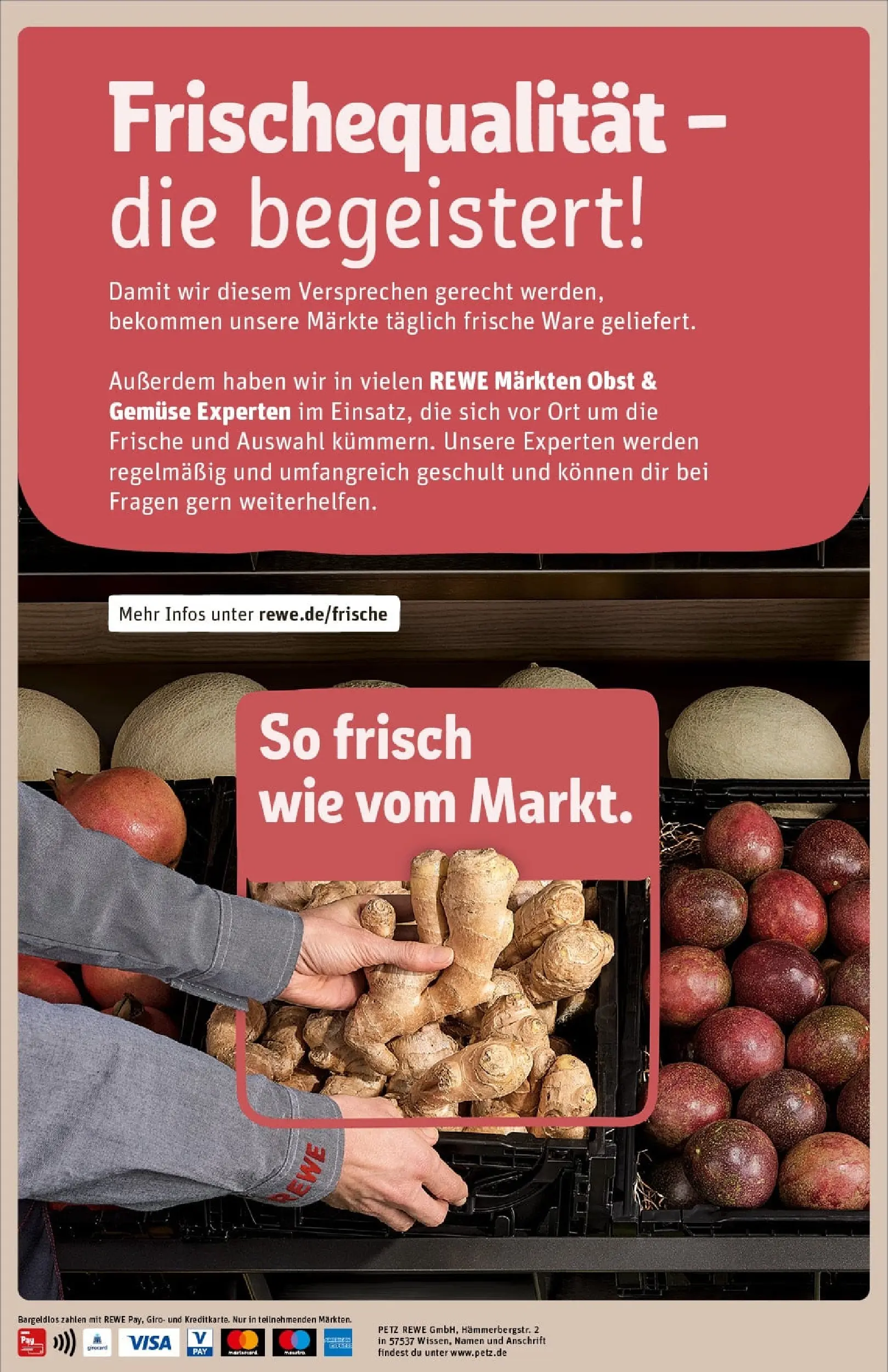 REWE Prospekt ab 23.11.2025 zum Blättern » Angebote | Seite: 34