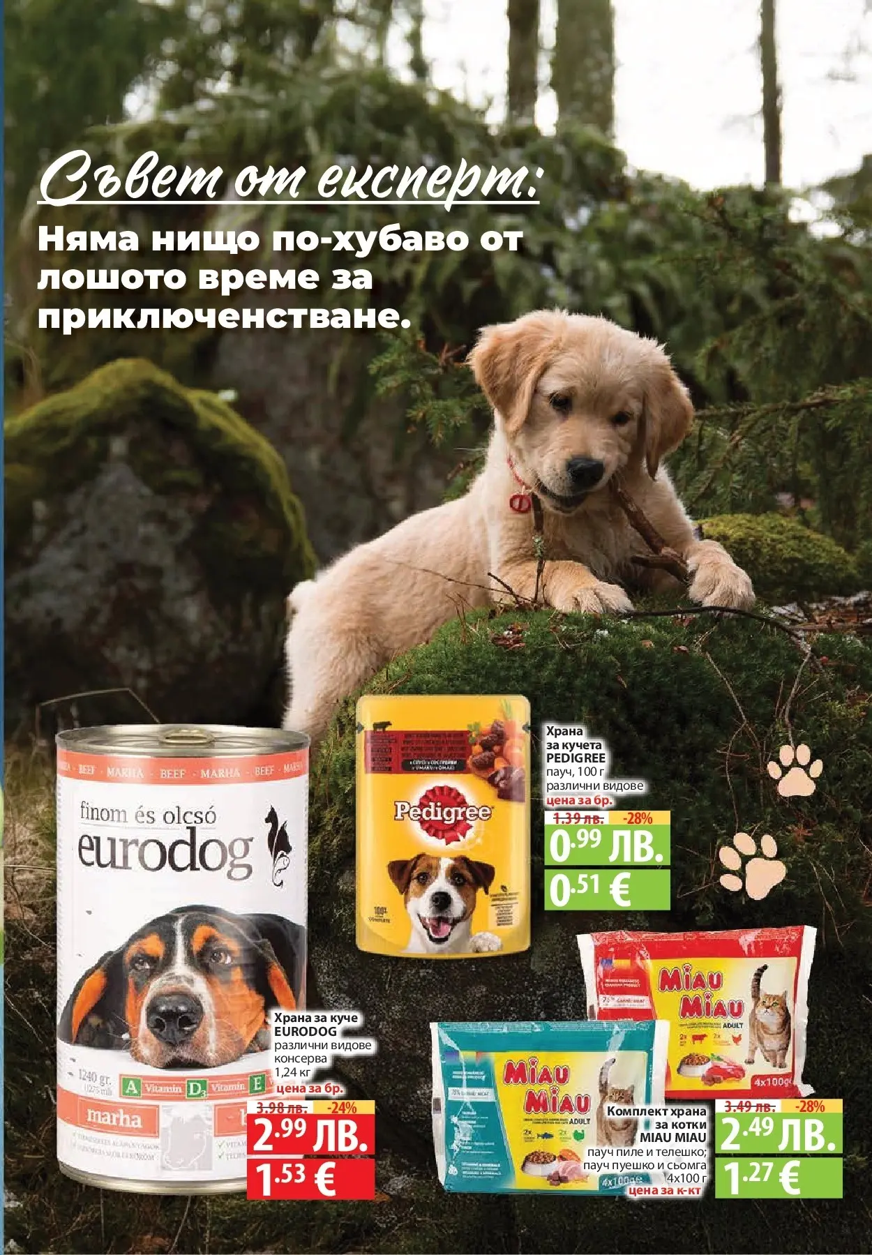 Нова Cедмична брошура на Фантастико от 20.11.2025 | Страница: 33 | Продукти: Препарат, Таблетки, Препарат за съдове, Тв