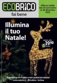 Illumina il tuo Natale!