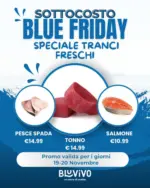 BluVivo Blue Friday - al 20.11.2025