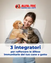 Grandi sconti su prodotti selezionati