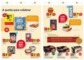 Del 20 De Noviembre Al 17 De Diciembre De 2025