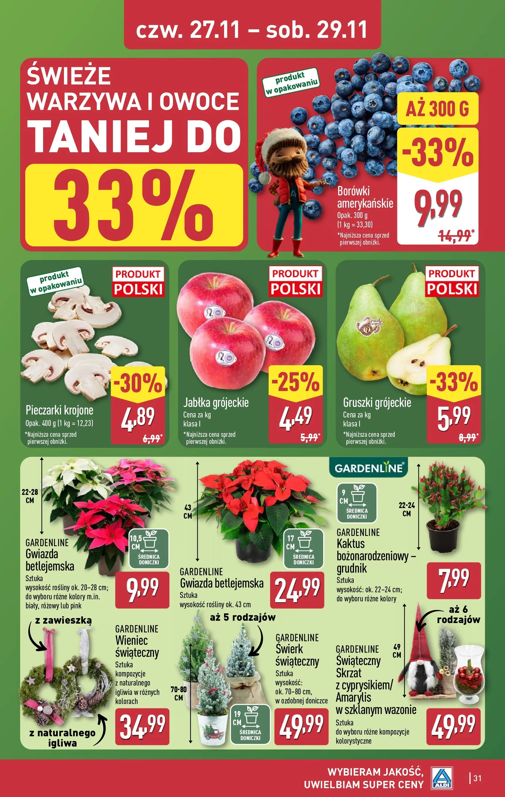 Aldi - Tydzień mega oszczędności w ALDI od 22.11.2025 - Ulotka PDF, promocje | Strona: 31 | Produkty: Pieczarki, Amarylis, Rosliny, Doniczki