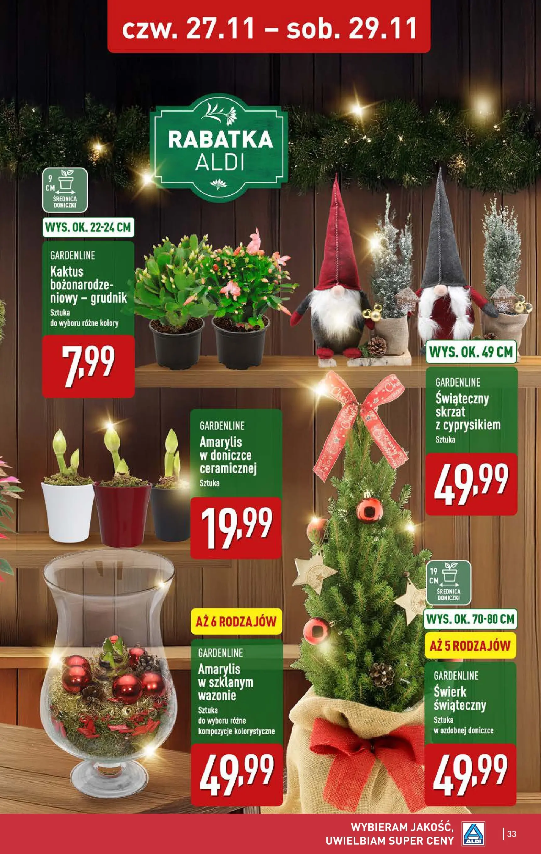Aldi - Tydzień mega oszczędności w ALDI od 22.11.2025 - Ulotka PDF, promocje | Strona: 33 | Produkty: Amarylis, Doniczki