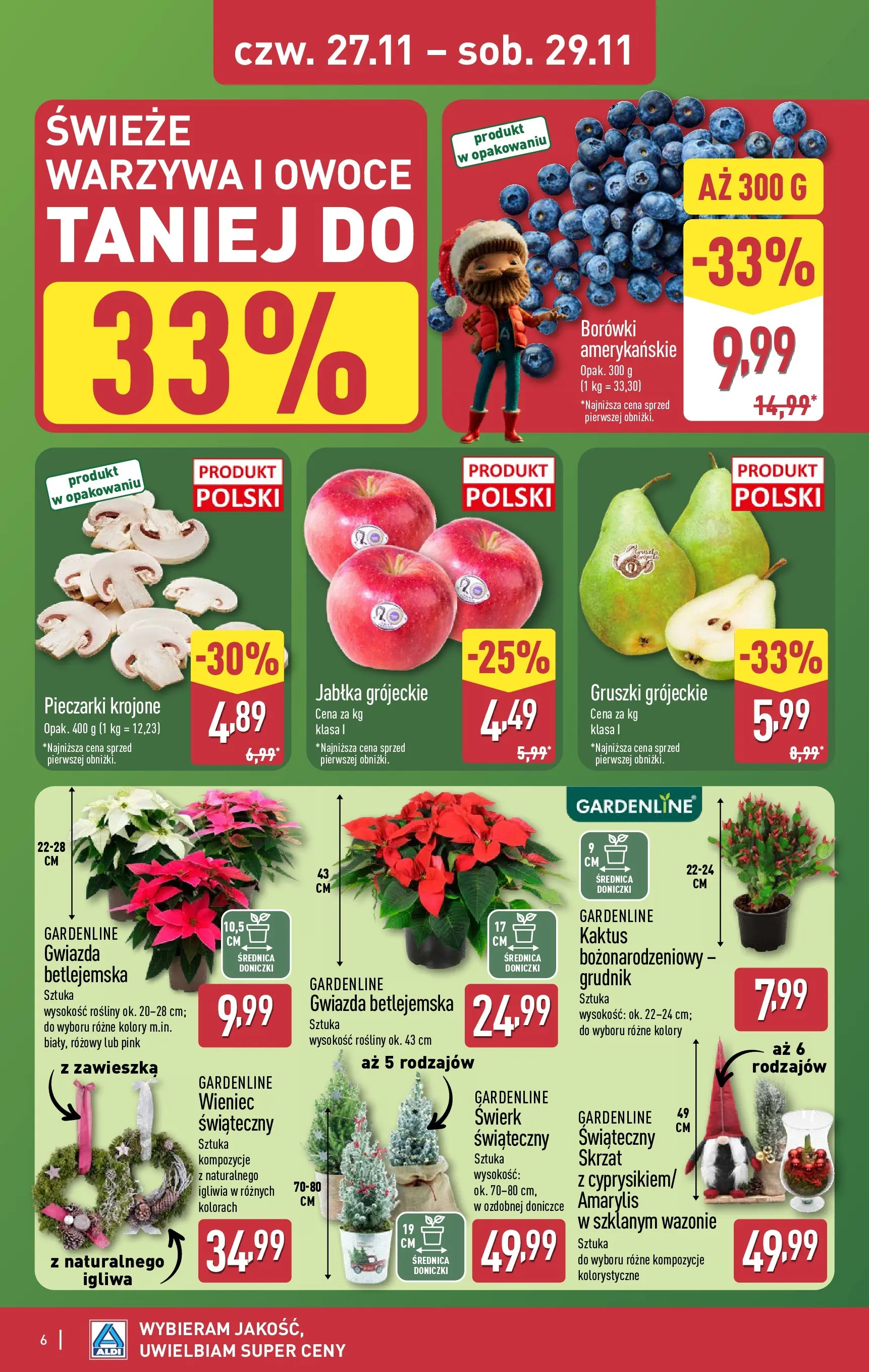 Aldi Gazetka - Okazje na weekend od 27.11.2025 - Ulotka PDF, promocje | Strona: 6 | Produkty: Rosliny, Doniczki, Jabłka, Owoce