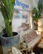 Brigros Le migliori offerte per tutti i clienti - al 04.12.2025