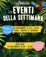 Zoomiguana Offerte Zoomiguana - al 22.11.2025