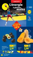 Découvrez le catalogue Lidl de la semaine avec plein de bons plans