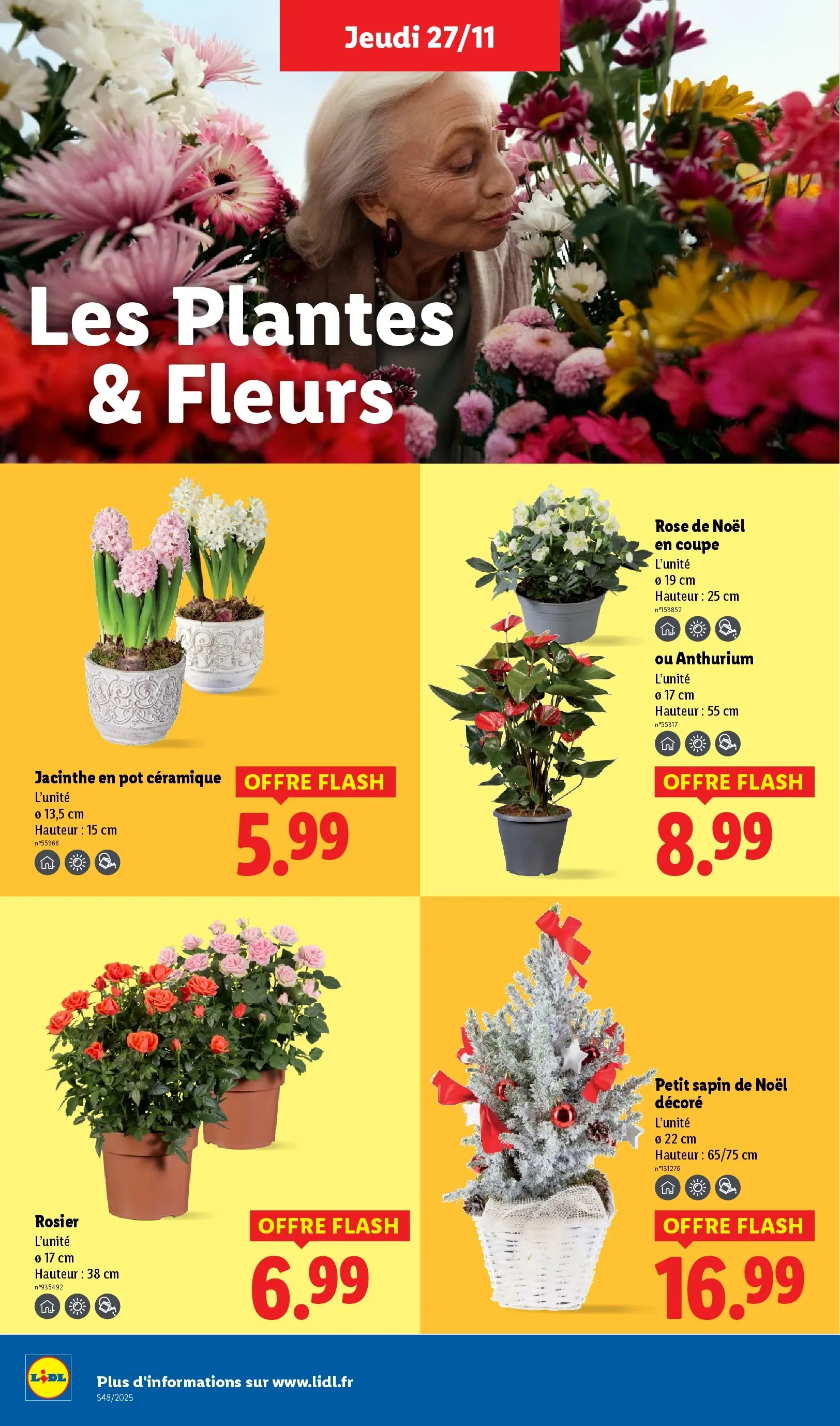 Catalogue LIDL du 26/11/2025 | Promo prospectus en ligne | Page: 38 | Produits: Rosier, Sapin de Noël, Plantes