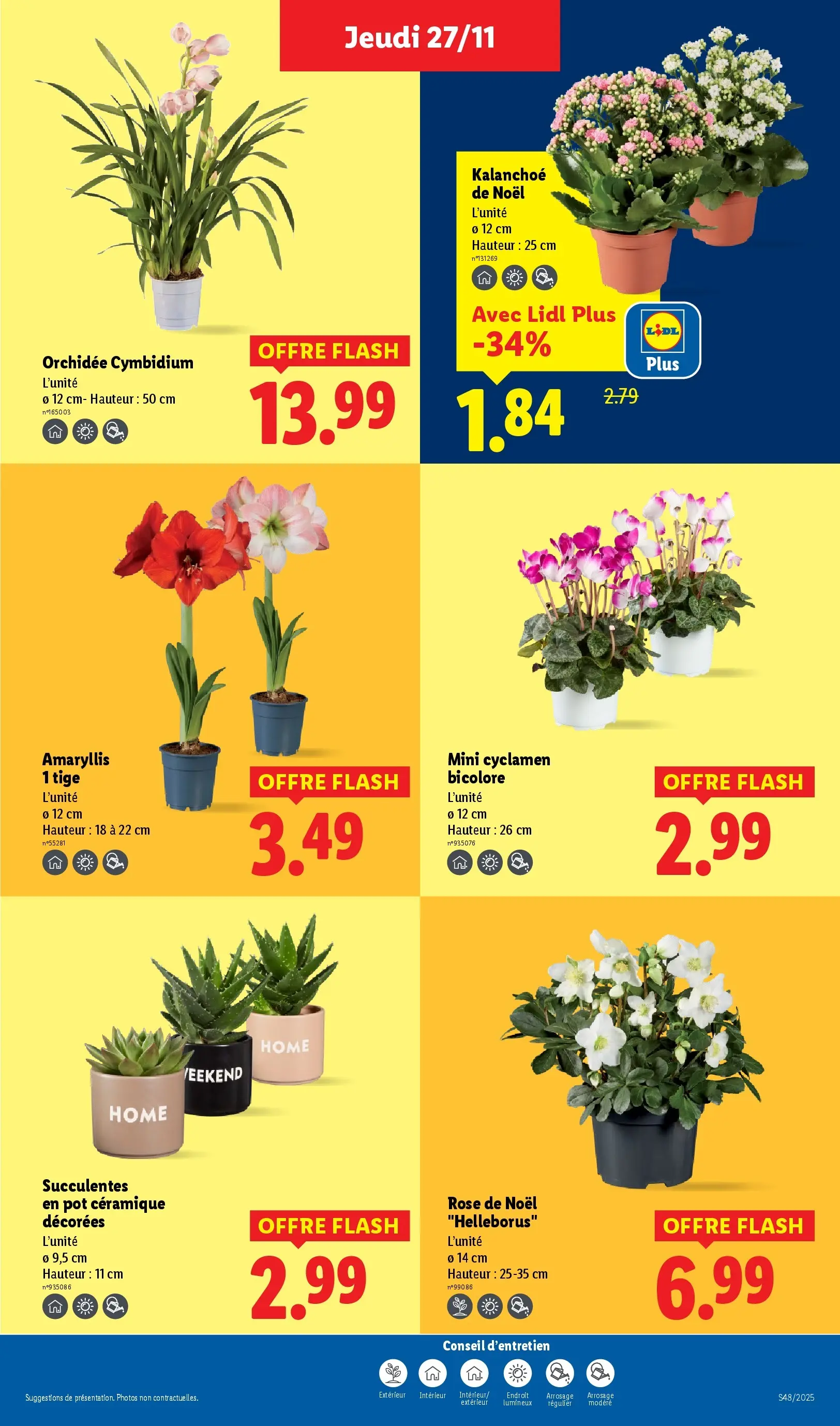 Catalogue LIDL du 26/11/2025 | Promo prospectus en ligne | Page: 39 | Produits: Orchidée