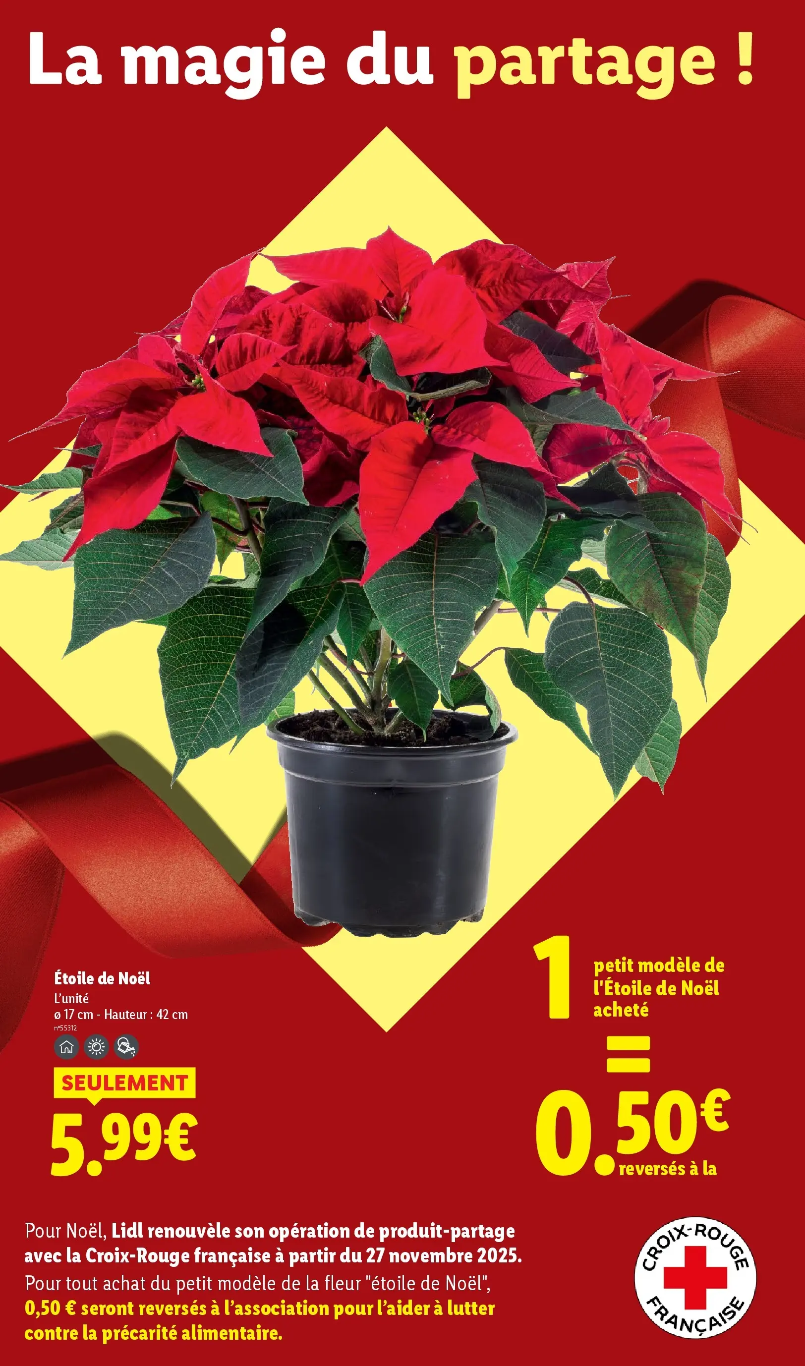 Catalogue LIDL du 26/11/2025 | Promo prospectus en ligne | Page: 41 | Produits: Poinsettia