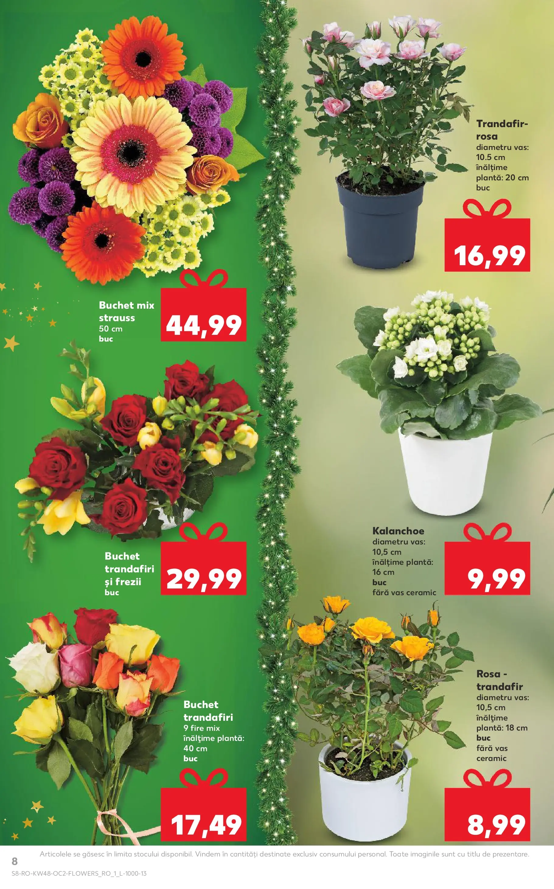 Catalog Kaufland - Domnesti 25.11.2025 - Revista si Oferta | Pagină: 8 | Produse: Trandafir