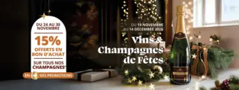 Les fêtes approchent… et notre nouveau catalogue vins & champagnes de fêtes est là pour les sublimer !