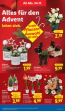 Lidl Lidl: Wochenangebote - ab 24.11.2025