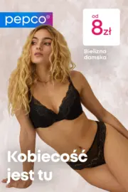 Atrakcyjne oferty specjalne dla wszystkich