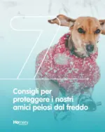 Homery Homery - al 22.11.2025