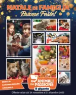 Il Gigante Natale di Famiglia! - al 31.12.2025