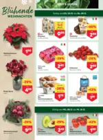 MPREIS MPREIS: Flugblatt Vorarlberg - ab 04.12.2025