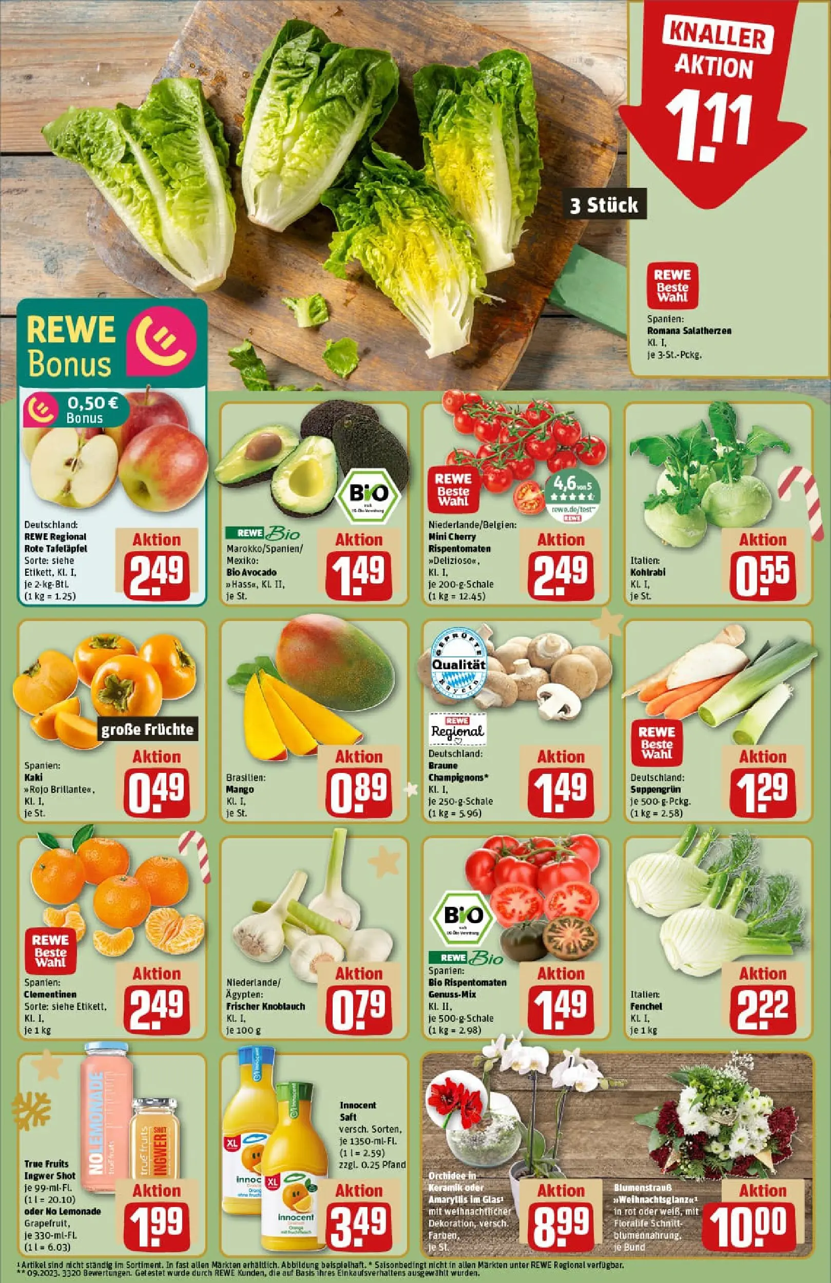 REWE Prospekt ab 01.12.2025 zum Blättern » Angebote | Seite: 10 | Produkte: Orchidee, Avocado, Mango, Knoblauch