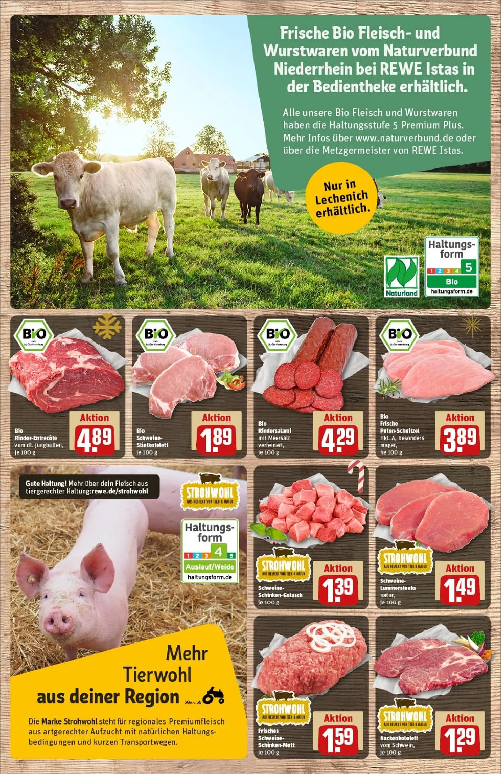 REWE Prospekt ab 01.12.2025 zum Blättern » Angebote | Seite: 35