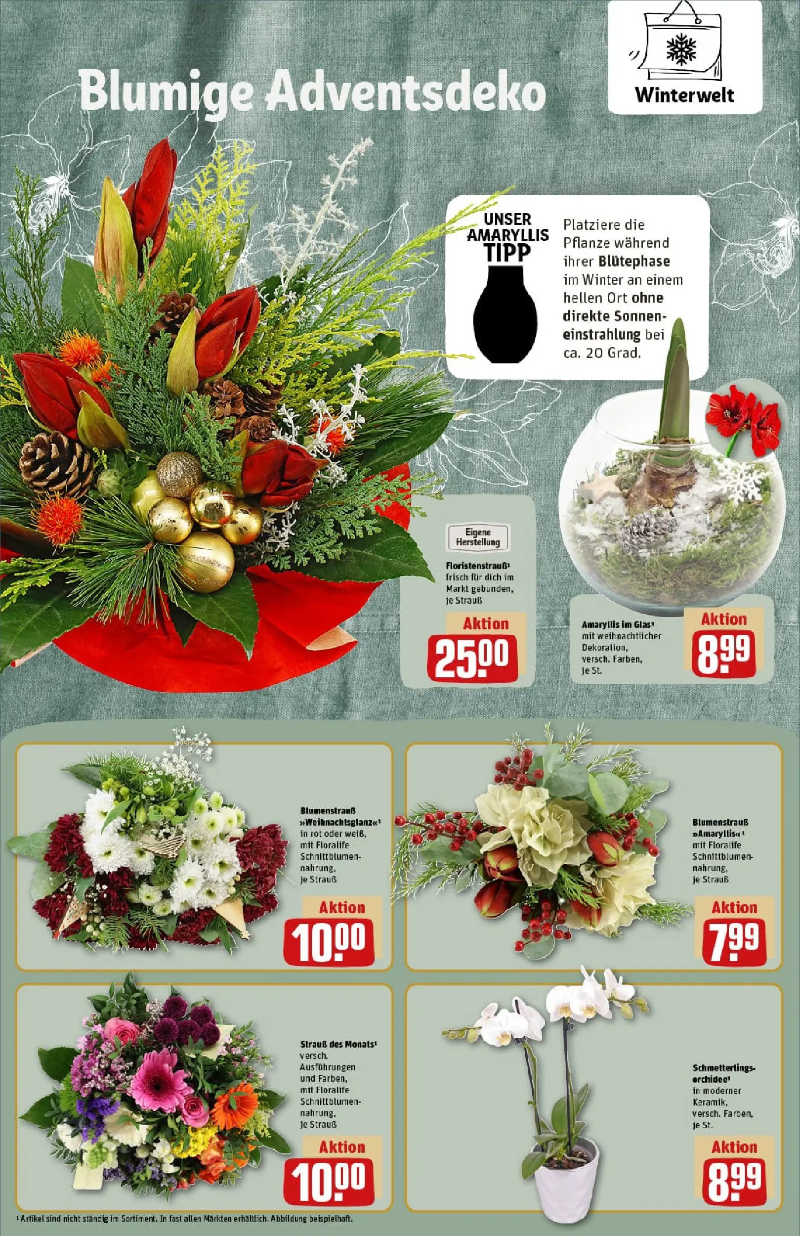 REWE Prospekt ab 01.12.2025 zum Blättern » Angebote | Seite: 14