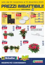 Bricofer Prezzi imbattibili - al 10.12.2025