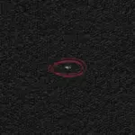 Semeraro Semeraro - al 25.11.2025