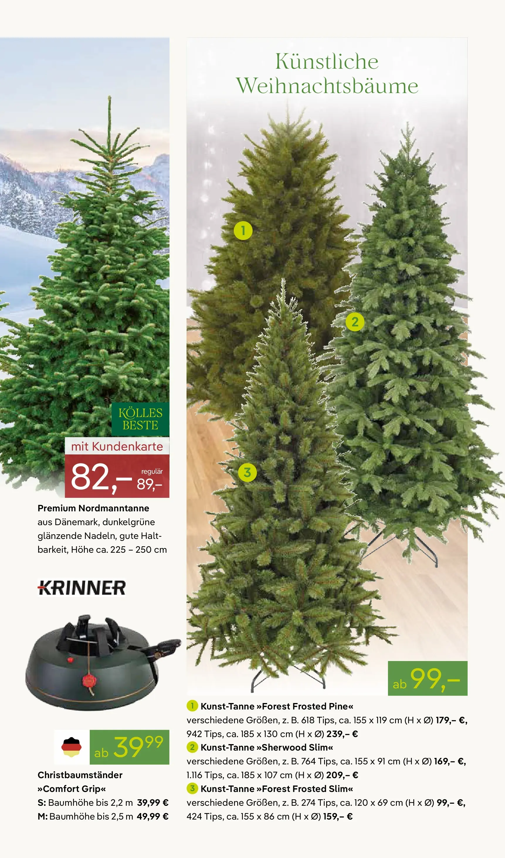 Pflanzen-Kölle - Pflanzen-Kölle: Großer Weihnachtsbaumverkauf (ab 30.11.2025) zum Blättern | Seite: 3