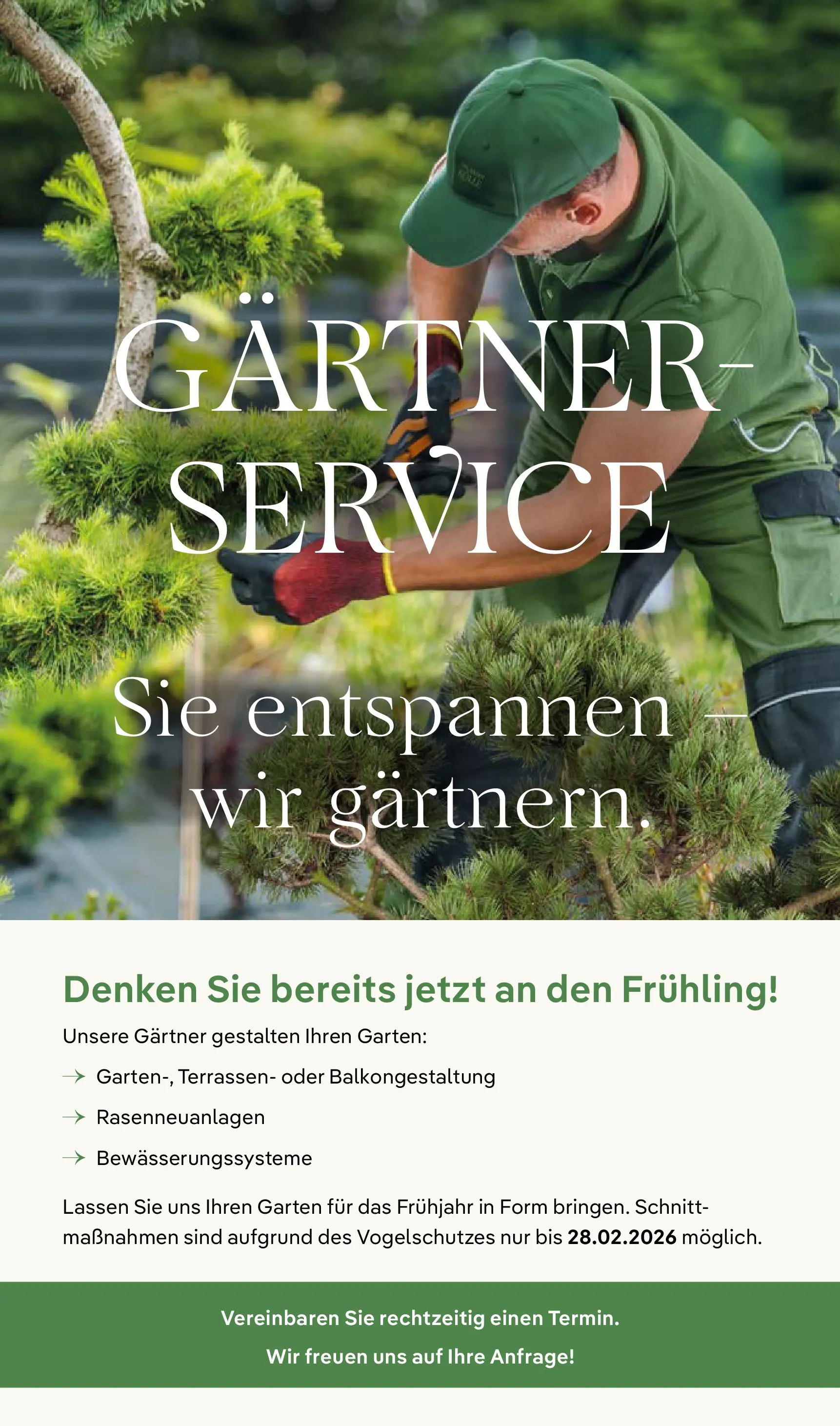 Pflanzen-Kölle - Pflanzen-Kölle: Großer Weihnachtsbaumverkauf (ab 30.11.2025) zum Blättern | Seite: 10