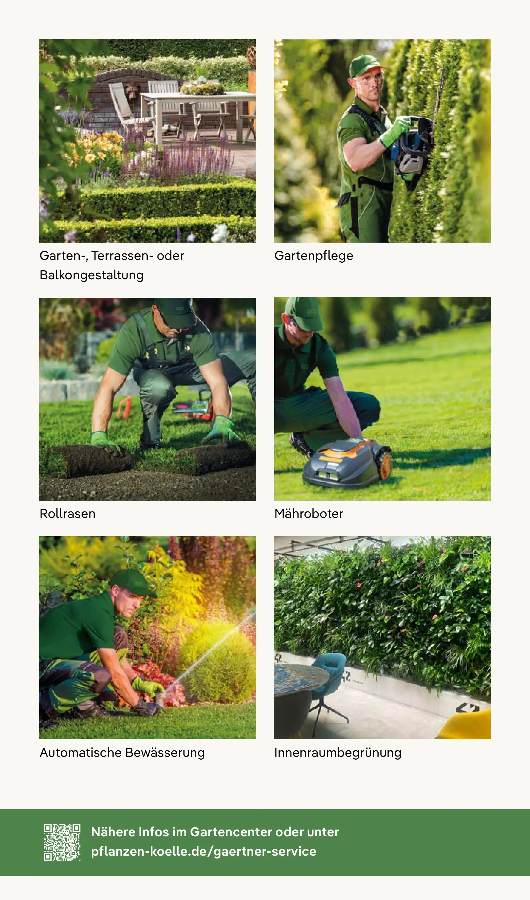 Pflanzen-Kölle - Pflanzen-Kölle: Großer Weihnachtsbaumverkauf (ab 30.11.2025) zum Blättern | Seite: 11