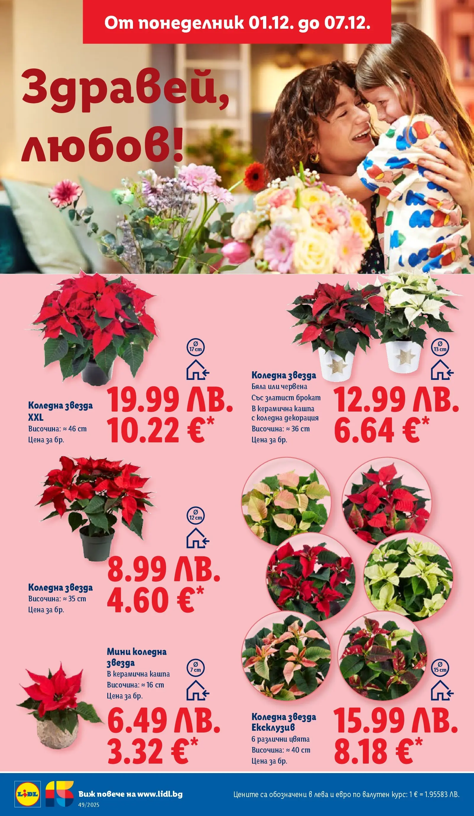 Лидл - Празнувай Никулден с прясна риба в ЛИДЛ с валидност до 07.12.2025 от 30.11.2025 | Страница: 50 | Продукти: Кашпа, Декорация Лидл - Празнувай Никулден с прясна риба в ЛИДЛ с валидност до 07.12.2025 от 30.11.2025 | Страница: 50 | Продукти: Кашпа, Декорация
