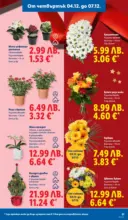 ЛИДЛ Празнувай Никулден с прясна риба в ЛИДЛ с валидност до 07.12.2025 - от 01-12-25