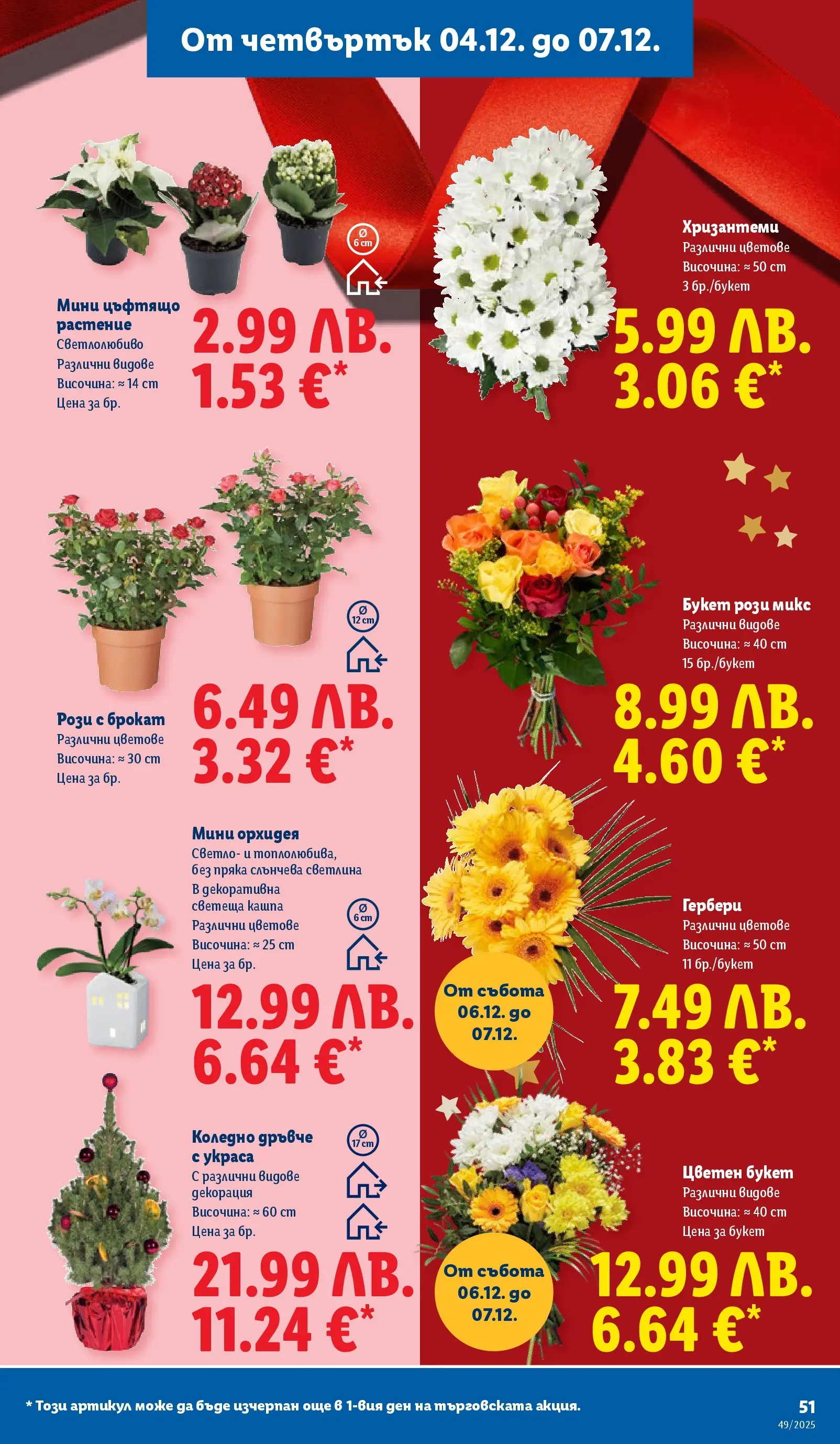 Лидл - Празнувай Никулден с прясна риба в ЛИДЛ с валидност до 07.12.2025 от 30.11.2025 | Страница: 51 | Продукти: Орхидея, Декорация Лидл - Празнувай Никулден с прясна риба в ЛИДЛ с валидност до 07.12.2025 от 30.11.2025 | Страница: 51 | Продукти: Орхидея, Декорация