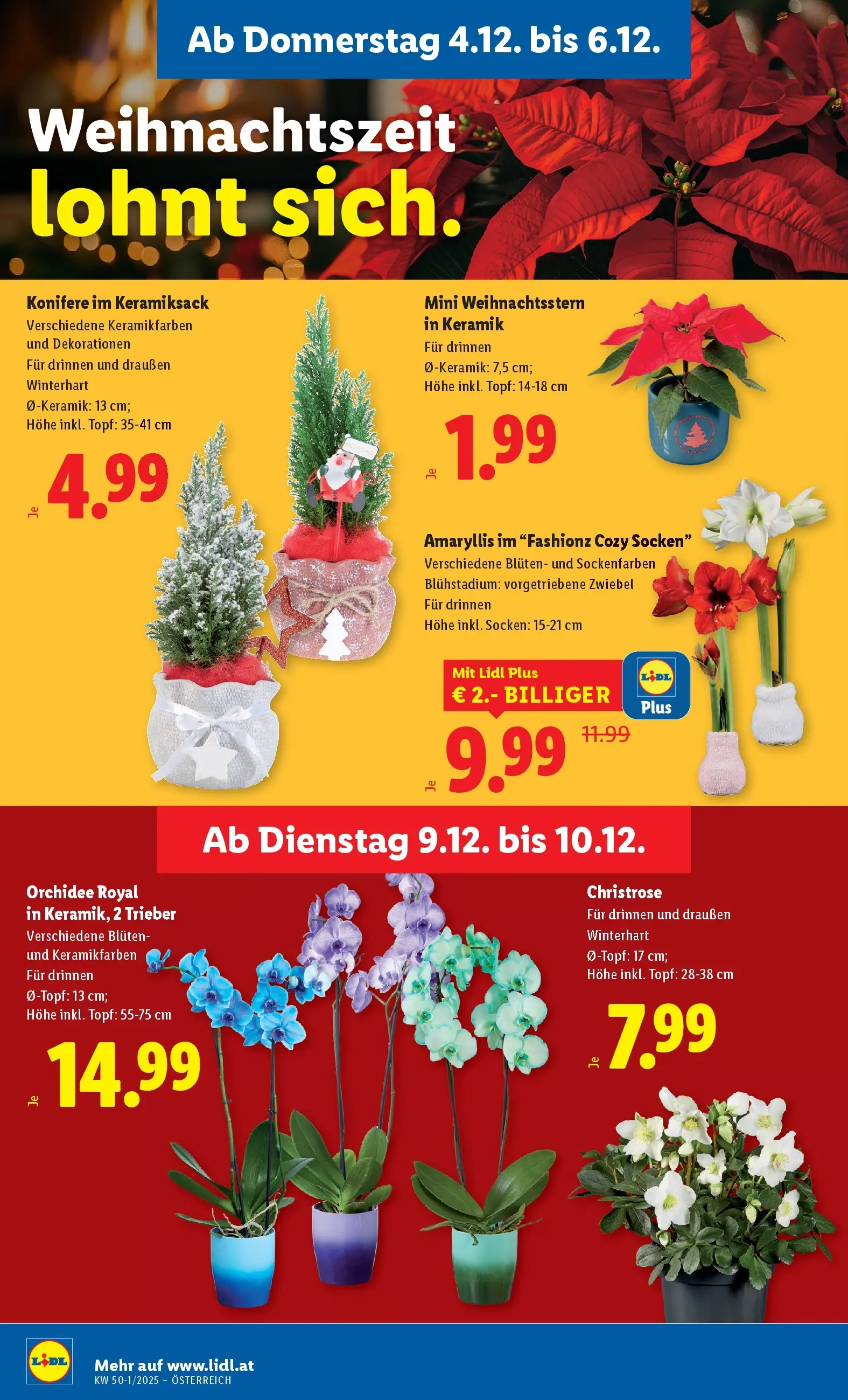 Lidl - Lidl: Flugblatt in deiner Nähe ab 03.12.2025 - Angebote ab donnerstag | Seite: 32 | Produkte: Socken