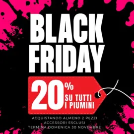 Black friday 20%