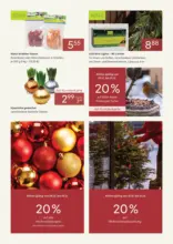 Pflanzen-Kölle: Dauerhaft niedrige Preise im Dezember