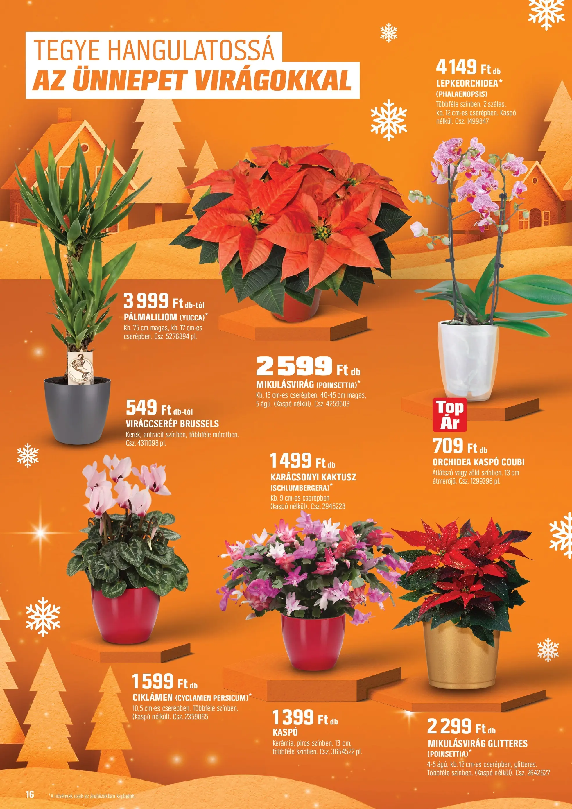 OBI Akciós újság - 2025.12.02. -tól/töl > akció, lapozható szórólap 🛍️ | Oldal: 16 | Termékek: Orchidea, Virágcserép, Kaspó