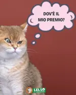 Lillo e i Vagabondi Offerte Lillo e i vagabondi - al 11.12.2025